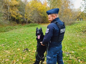 Przewodnik w mundurze ćwiczebnym ze swoim psem Ugo.