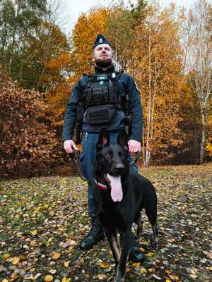 Przewodnik w mundurze ćwiczebnym ze swoim psem Ugo.