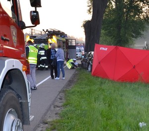 Policjanci podczas pracy na miejscu wypadku drogowego.