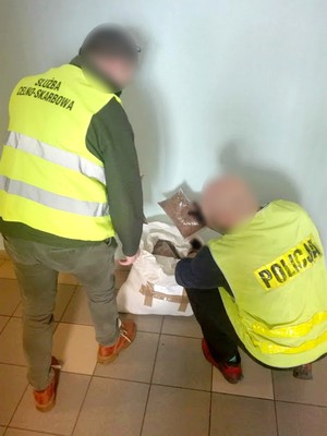 Policjant oraz funkcjonariusz służby celno-skarbowej wyciągają z worka jutowego zabezpieczony tytoń. Zdjęcie wykonano na korytarzu komendy.