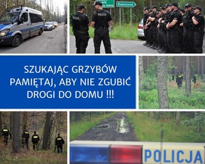 Kolaż zdjęć na których przedstawiono policjantów i radiowozu w trakcie poszukiwań zaginionych osób w terenach leśnych.