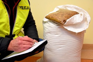Kryminalny w kamizelce z napisem policja prowadzi oględziny zabezpieczonej krajanki tytoniu.
