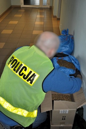 Policjant podczas oględzin zabezpieczonego tytoniu.