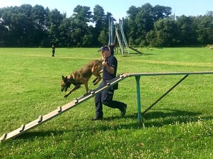 Policjant ćwiczy z psem na torze przeszkód.