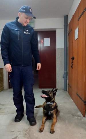 Przewodnik z leżącym obok psem wymieniają się spojrzeniem.