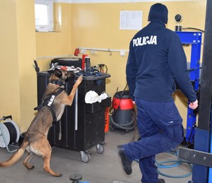 Warsztat samochodowy. Po lewej stronie pies wącha szafki narzędziowe, a po prawej stoi jego przewodnik.