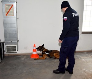 Garaż samochodowy. Pies wskazuje przewodników stojący przy ścianie pachołek drogowy, oznaczając miejsce znalezienia markera z zapachem narkotyku.