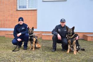 Dwaj przewodnicy pozujących do zdjęcia ze swoimi psami.