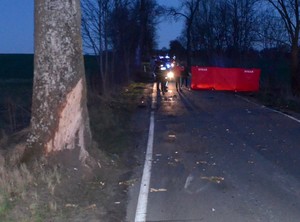 Na pierwszym planie drzewo z uszkodzoną korą. W oddali widać pracujących na miejscu policjantów i strażaków. Zapadający zmrok. Miejsce oświetlone reflektorami.
