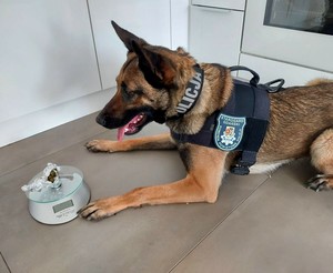 Nel waruje przy narkotyku położonym na wadze elektronicznej.