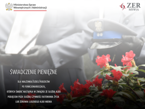 Grafika obrazkowa. Plakat informacyjny.