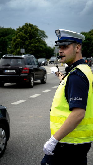 Policjanci w trakcie zabezpieczenia festiwalu.