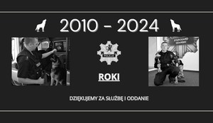 Pies ze swoim przewodnikiem pozują do zdjęcia.