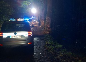 Radiowóz na miejscu wypadku drogowego.