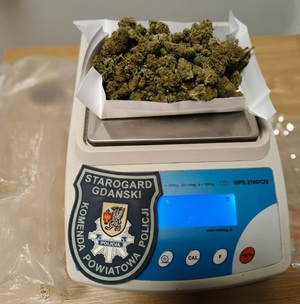 waga, na której znajduje się zabezpieczony susz roślinny.