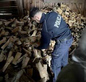 Policjant w budynku gospodarczym zbiera drewno na opał.
