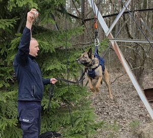 Policjant wciąga psa w na lince.