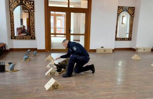 Przewodnik z psem w trakcie ćwiczeń.