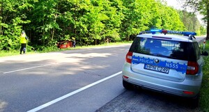 Policjanci na miejscu wypadku z łosiem zabezpieczają miejsce zdarzenia.