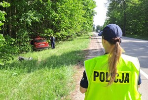 Policjanci na miejscu wypadku z łosiem zabezpieczają miejsce zdarzenia.