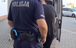 Policjant wprowadza zatrzymanego mężczyznę do radiowozu.